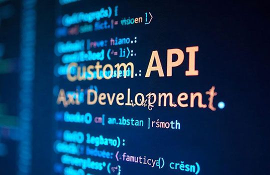 Custom-api-development